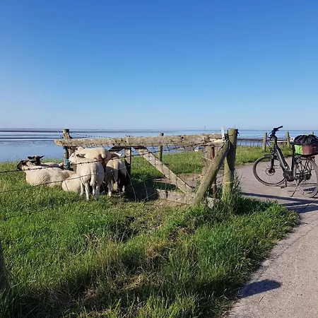 G10 Mit Wiesenblick In Eckwarderhoerne By Interhome Casa vacanze *