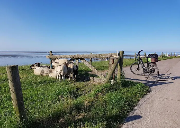 G10 Mit Wiesenblick In Eckwarderhoerne By Interhome Сasa de vacaciones *